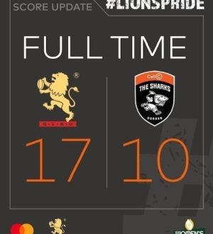 LIONS WARM 6
