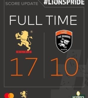 LIONS WARM 6