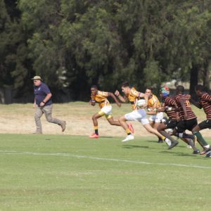 u19 vs wanderers 12