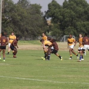 u19 vs wanderers 13