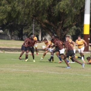u19 vs wanderers 14
