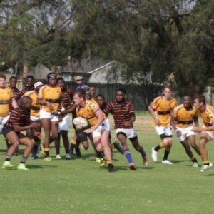 u19 vs wanderers 16