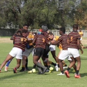 u19 vs wanderers 19