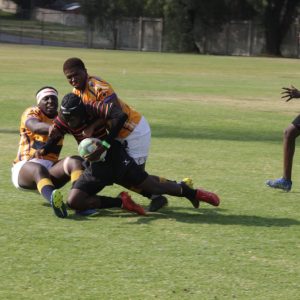 u19 vs wanderers 24