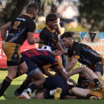 vs pir 12